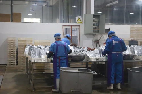 排查冷链冷冻产品，守护舌尖上的安全 —— 网络服务如何筑牢餐桌防线