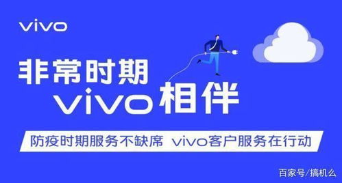 零接触，更安心 vivo电商服务让换机之旅无忧无虑